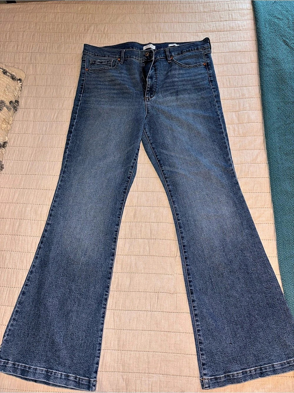 Sofia Jeans by Sofia Vergara Flare Jeans in Blue Size 18
